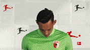 Happy Fc Augsburg GIF by Bundesliga