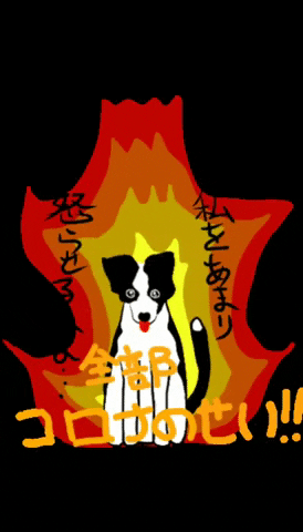 sokku  GIF