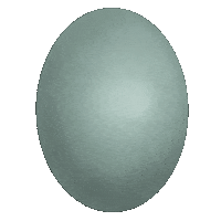 aykimkio food chicken egg eggs Sticker