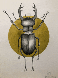 Art Illustration GIF