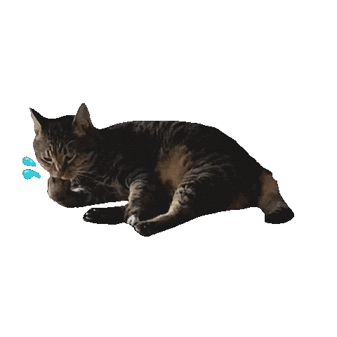 Cat ねこ Sticker