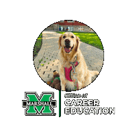 Marshall University Sticker by Marshall U Career Education