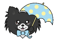 Chihuahua Dog Sticker by Puptails