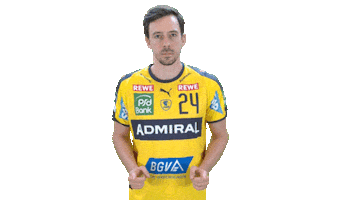 Handball-Bundesliga Handball Sticker by LIQUI MOLY HBL