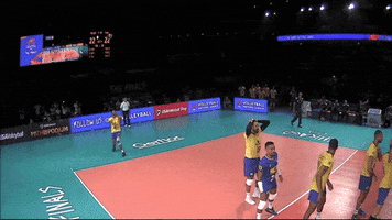 Power Serve GIF by Volleyball World