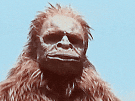 monster bigfoot GIF