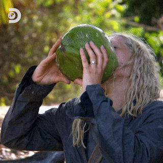 Bear Grylls Survival GIF by Discovery Europe