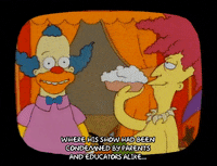 Season 1 GIF by The Simpsons