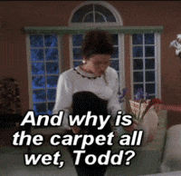 christmas vacation GIF