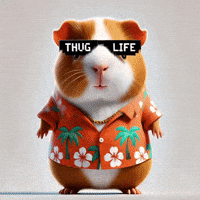 Happy New Year Party GIF by Guinea Gambino