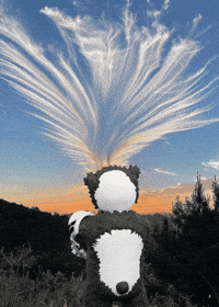 Panda Looking GIF by Endangered Labs