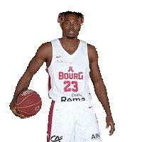 Sport Basketball Sticker by JL Bourg