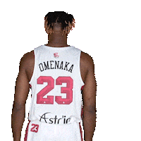Basketball Sticker by JL Bourg