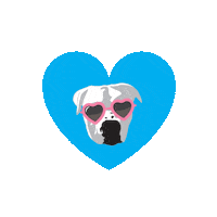 onetailatatimechicago valentine valentinesday otat one tail at a time Sticker