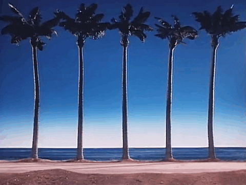 Palm Trees Summer GIF