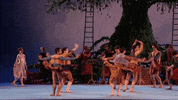 Jump Leap GIF by Royal Opera House