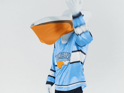 PelicansFi giphyupload hockey why mascot GIF