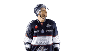 Hockey Ice Sticker by Les Ducs d'Angers