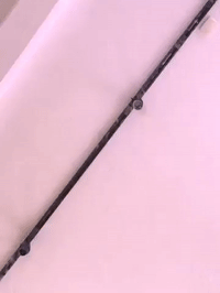 framebeta GIF