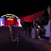 GIF by santaswonderland