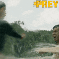 ravenbanner movie film movies fantasia GIF
