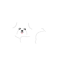 Misoko Dog Sticker by Nature's Protection