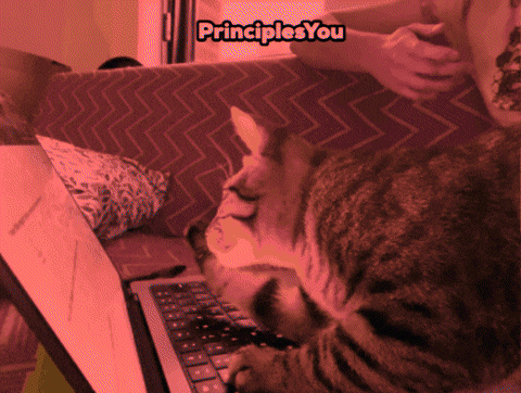 GIF by Patrick B Ray