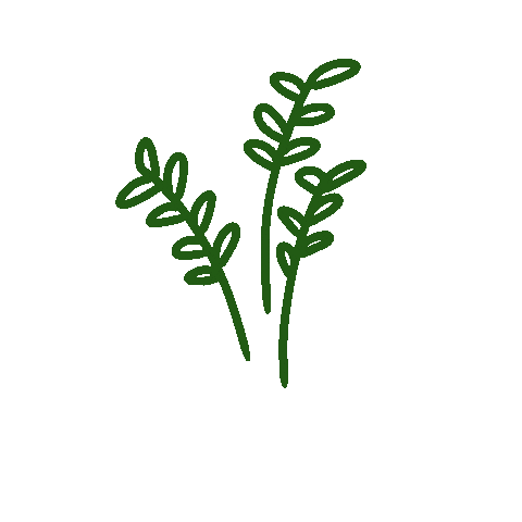 Beauty Flower Sticker