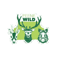Wild Sticker by TDGRechlinmbH