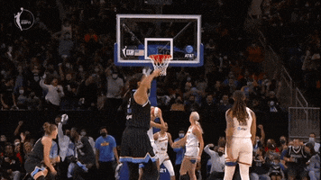 Chicago Sky Nod GIF by WNBA