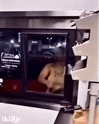 Angry Instagram GIF