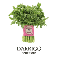 fennel romaine Sticker