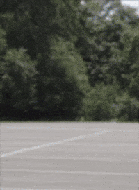 New Orleans Love GIF by Curated Stance!