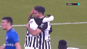 Partizan GIF by sportmts