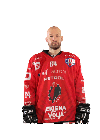 Hockey Hokej Sticker by HDD SIJ Acroni Jesenice