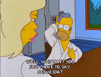 homer simpson GIF