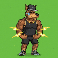 Nervous Dog GIF by SkyDog Social