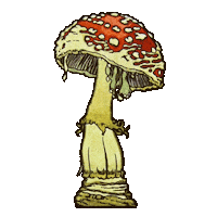 Lettering Mushroom Sticker by Dolly Noire