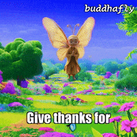 Beauty Joy GIF by BuddhaFlyJourney