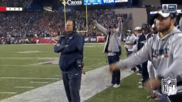 New England Patriots Football GIF by NFL