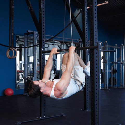 Calisthenics Front Lever GIF
