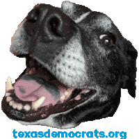 texasdemocrats dog dogs puppy texas Sticker