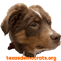 texasdemocrats dog dogs puppy texas Sticker