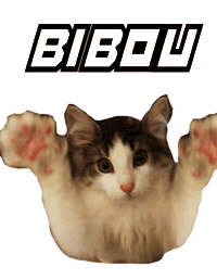 Cat Bibou Sticker