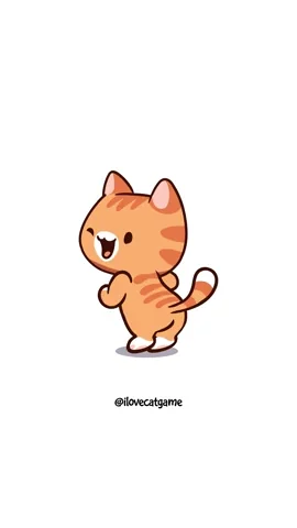 Dancing Cat - GIPHY Clips