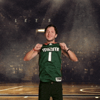 Let's Go Miami!