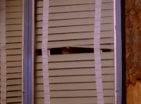 season 2 GIF by Twin Peaks on Showtime