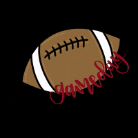 Megryandesigns football saturday college football gameday GIF