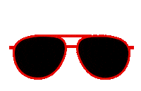 Sunglasses Snowboarding Sticker by Stichting Melanoom