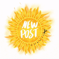 SunshineSpinwearXo sunshinespinwear GIF